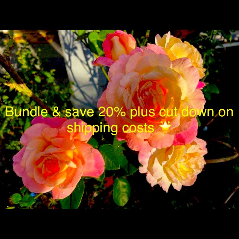 Bundle & save! Make a bundle 🌟